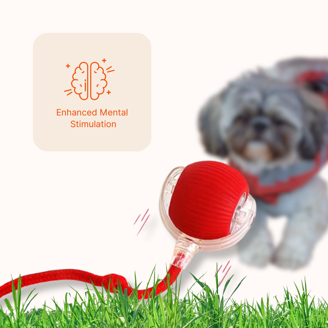 Premium Original Interactive Dog Ball