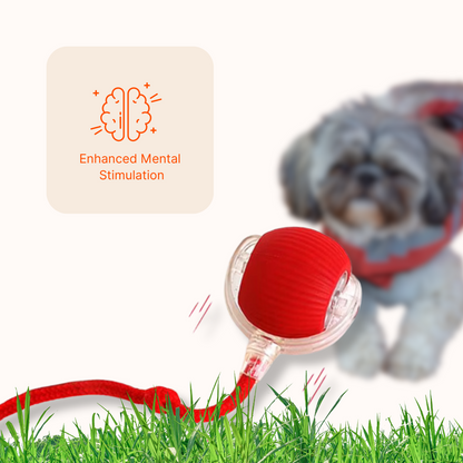 Interactive Dog Ball